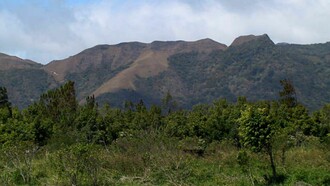 Un viaje familiar al Valle de Antón, Panamá, revela frondosos bosques nublados, misteriosos petroglifos antiguos y leyendas de la India Dormida