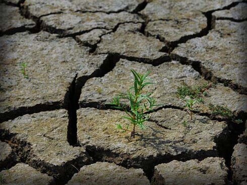 It was a historic achievement in 2015 when nearly 200 nations signed the Paris climate accord