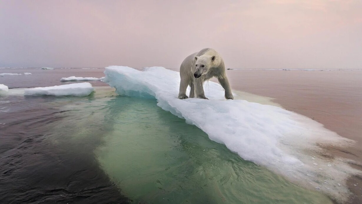 Time is running out to prevent catastrophe climate changes