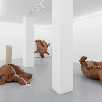 Tiago Alexandre, Dá-me uma gotinha de água, exhibition view. Courtesy of Balcony Gallery