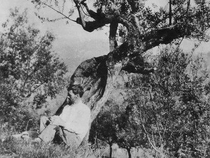 D. H. Lawrence in Italy, under an olive tree at Villa Mirenda, Italy, c. 1926 – 1928