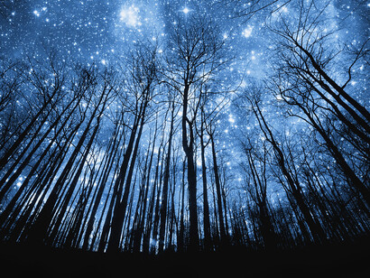 The Infinite