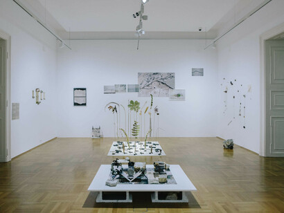 Various artists, Habitat Graz, exhibition view. Courtesy of Graz Museum