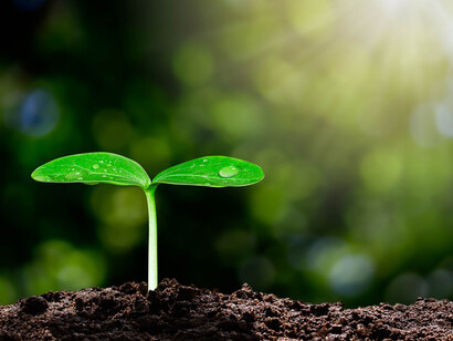Scientists claim that if a major shift towards sustainability is not achieved in the next 10-15 years, the damage to the Earth will become irreparable