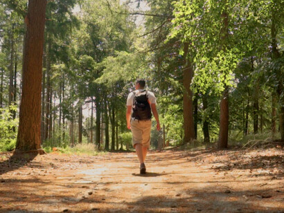 Exploring new trails not only provides physical activity but also boosts mental well-being, showcasing the numerous benefits of a vacation
