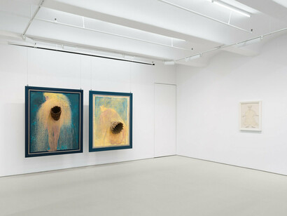 Lyne Lapointe, Becoming animal, exhibition view. Courtesy of Jack Shainman Gallery