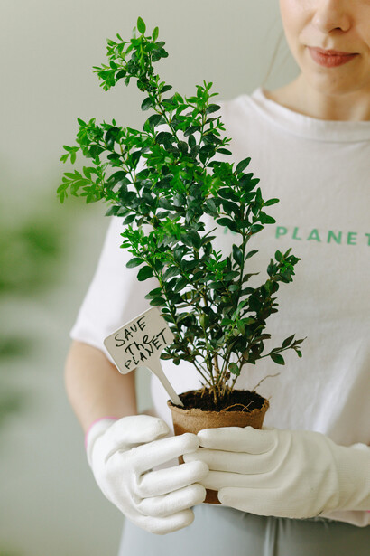 Identificar oportunidades de voluntariado e apoiar organizações sem fins lucrativos são formas eficazes de gerar impacto social positivo