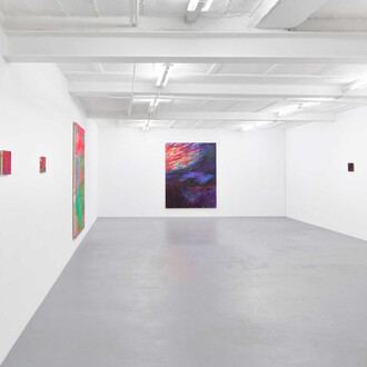 Augusta Lardy Micheli, Walk with me, exhibition view. Courtesy of Galerie Lange + Pult