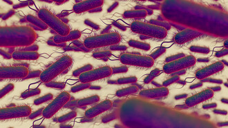 Une connexion cellulaire qui transforme la biologie