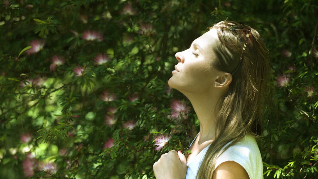 Peace, serenity, tranquility, CBD oil can benefit greatly on one's journey to living a happy life of good health and abundance