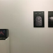 Galerie Charlot
