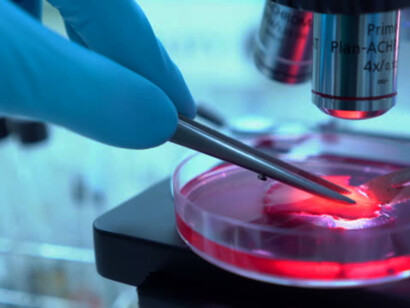 Scientists doing a stem cell research