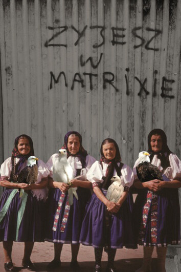 Polish Cut-Outs. Courtesy of MOCAK