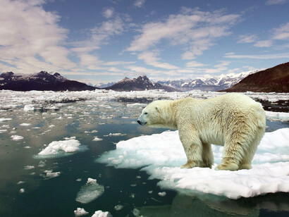 The effects of global warming