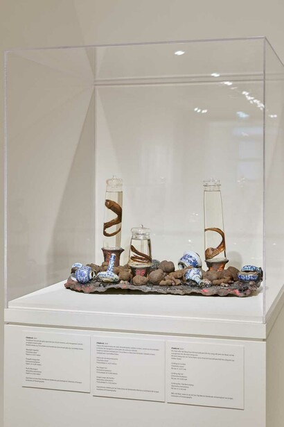 Patty Chang and David Kelley, Beta space, exhibition view. Courtesy of San Jose Museum of Art