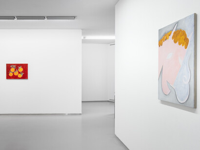 Sarah Bogner, Fallende früchte, exhibition view. Courtesy of Galerie Bernd Kugler