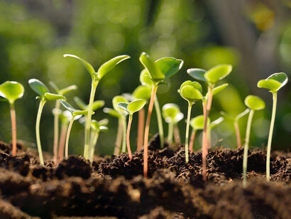 The Sustainability Network of Networks can contribute to a stronger impact of numerous networks, think tanks and associations, sharing concern for sustainability and corporate social responsibility, to accelerate the process of unavoidable change