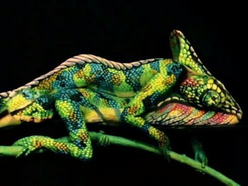 Johannes Stoetter, Il camaleonte, Body Painting