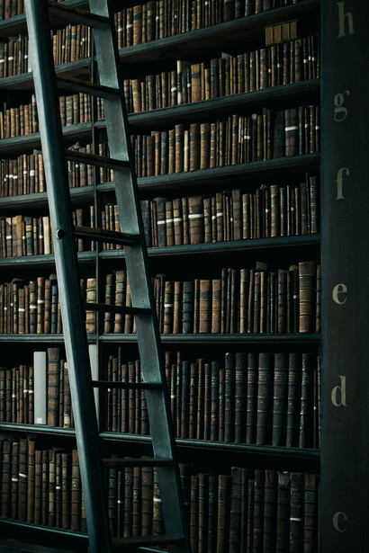 Estante con libros. El Quijote es considerada la primera novela moderna