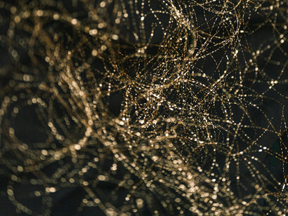 A psicoterapia pode modificar o cérebro humano, promovendo mudanças significativas na regulação emocional e na cognição de pacientes com transtornos mentais