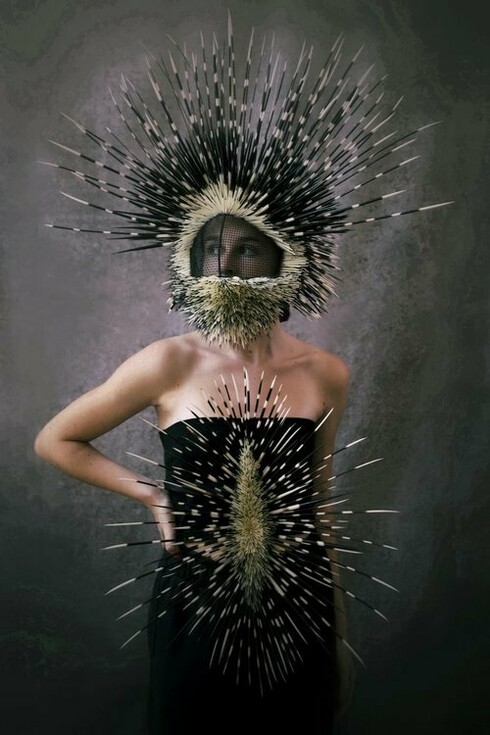 Melissa Meier, Quills. Courtesy of Lois Lambert Gallery