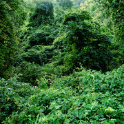 Carrie Haddad Gallery