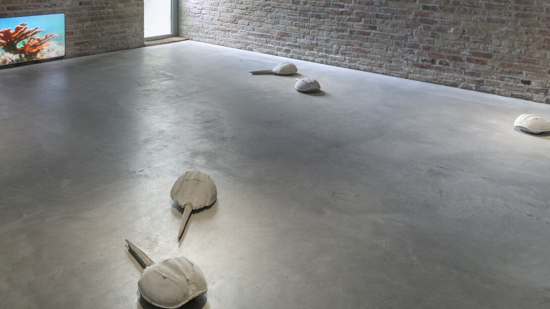 400 Million Years, Exhibition view. Courtesy of König Galerie