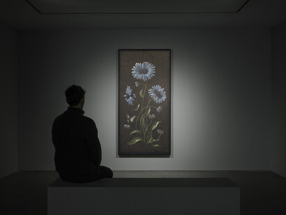 Laurent Grasso, Clouds theory, exhibition view. Courtesy of Pedro Cera