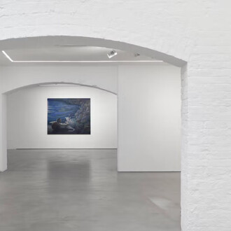 Timothy Lai, No swans, exhibition view. Courtesy of Josh Lilley Gallery