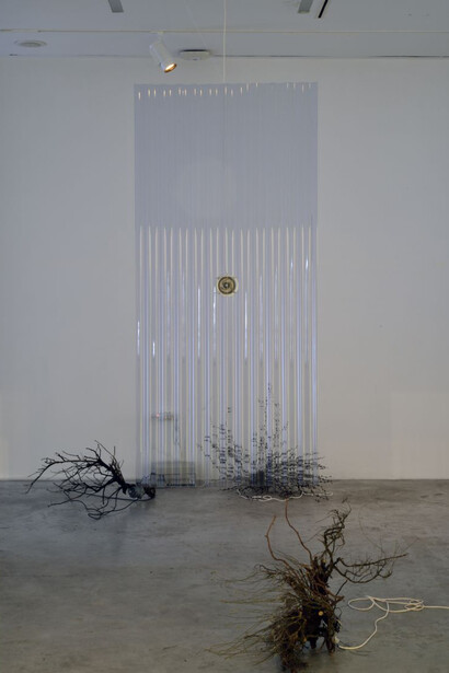Nika Erjavec, (Un)objectivity, exhibition view. Courtesy of MG+MSUM