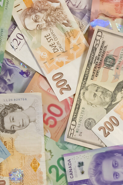 Many potentially successful innovations around the world never come to the market and remain in the laboratories, because they are denied the necessary financial backing