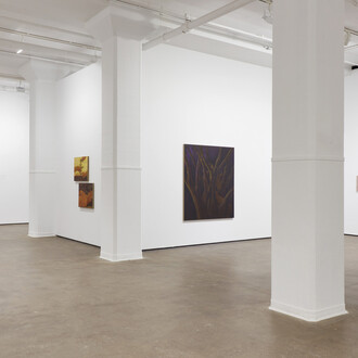 Hilda Palafox, De tierra y susurros, exhibition view. Courtesy of Sean Kelly Gallery