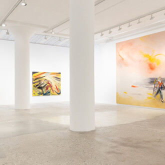 Sophie von Hellermann, After a dream, exhibition view. Courtesy of Greene Naftali