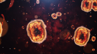 Monkeypox-Virus-Nahaufnahme