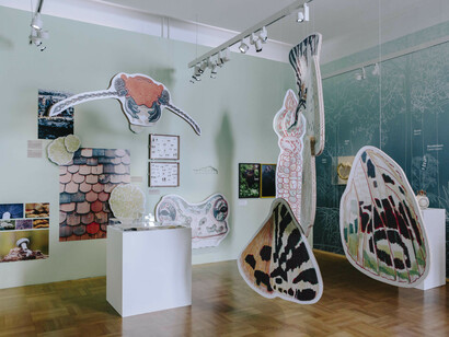 Various artists, Habitat Graz, exhibition view. Courtesy of Graz Museum