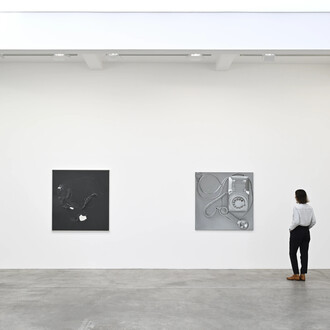 Paul Sietsema, exhibition view. Courtesy of Marian Goodman Gallery