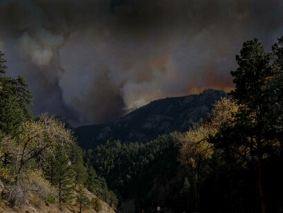 Hazardous smoke from forest fires not only cause change but also give birth to a new life as it is scientifically proven that forest fires are a natural process of rejuvenating the land