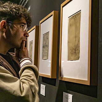 Brain(s), exhibition view. Courtesy of Casa de la Ciencia