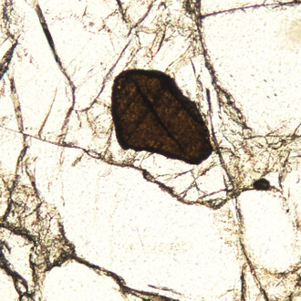 Petrology Collection. Courtesy of Sedgwick Museum of Earth Sciences