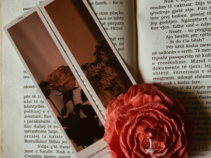 A rose resting atop the pages of a book
