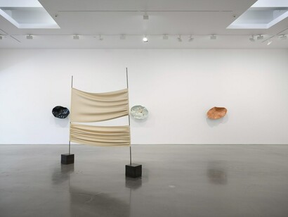 Liz Larner, Magnetic instinct, exhibition view. Courtesy of Regen Projects