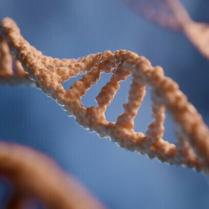 The human DNA seems to have predisposed humans to several vulnerabilities