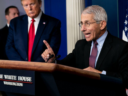 Anthony Fauci, press conference