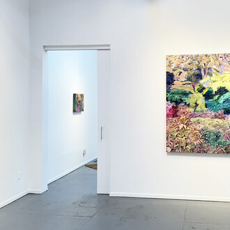 Liza Butts, A spectrum of echoes, exhibition view. Courtesy of Maus Contemporary