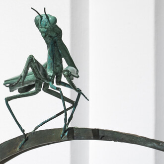 Invertebrados De Andalucía. Courtesy of Casa de la Ciencia