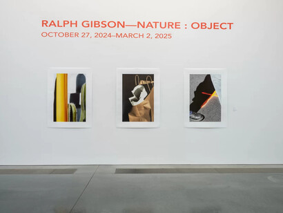 Ralph Gibson, Nature. Object, exhibition view. Courtesy of Parrish Art Museum