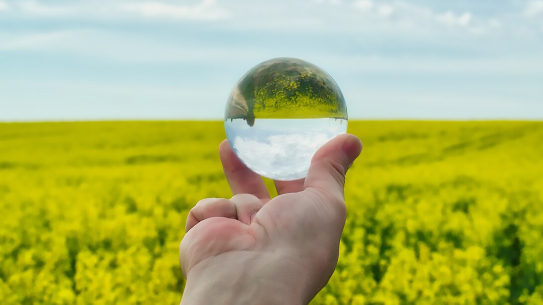 A hand holding a glass ball in front of a green field