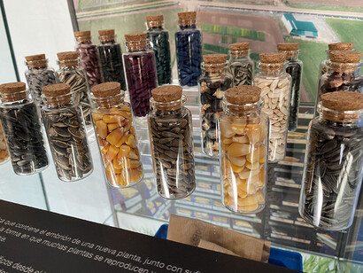 We are CSIC, exhibition view. Courtesy of Casa de la Ciencia