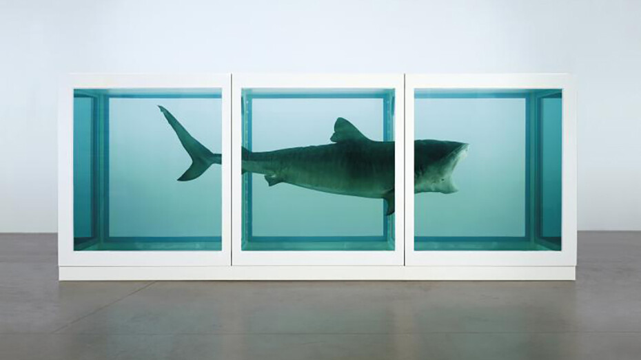 Damien Hirst, The Physical Impossibility of Death in the Mind of Someone Living, Ph. by Prudence Cuming Associates © Damien Hirst and Science Ltd.