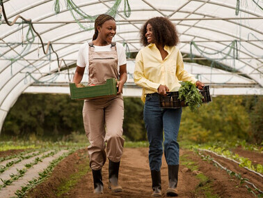 Women nurturing plants in an urban garden, promoting sustainable agriculture practices for healthier communities